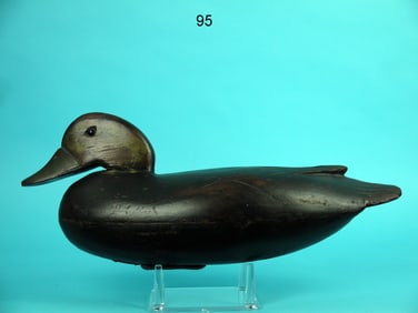 BLACK DUCK, D. FOULKS