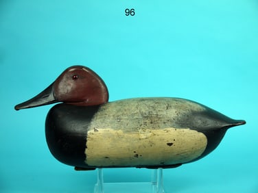 CANVASBACK DRAKE, L. MCLAUGHLIN