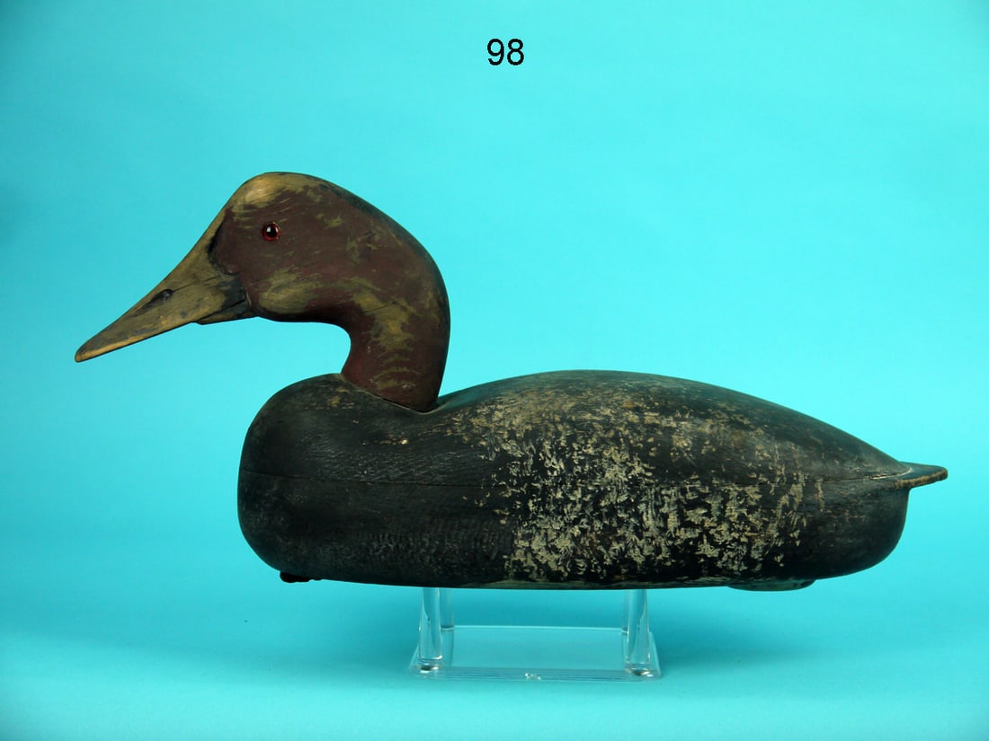 CANVASBACK DRAKE, J. MCLOUGHLIN (1 of 4)