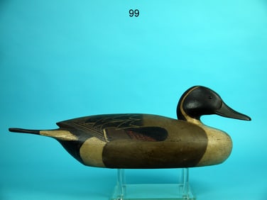 PINTAIL DRAKE, J. MCLOUGHLIN