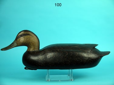 BLACK DUCK, J. MORGAN