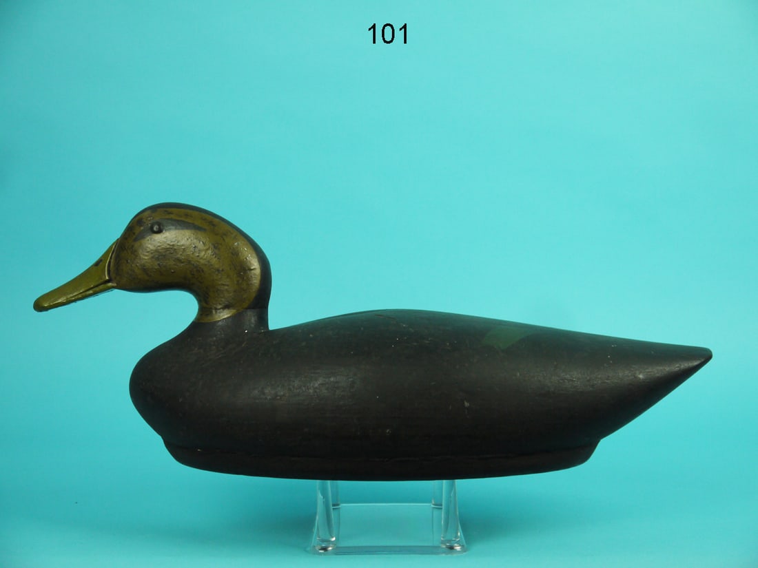 BLACK DUCK, A.B. VANCE: BLACK DUCK by A.B. Vance, Philadelphia, PA. Very good working paint and structural condition. Bottom board construction. Retains tack eyes. Bill with carved mandible. Retains pad weight. Overall lengt
