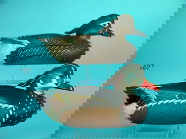 WOOD DUCK PAIR, W. CRANMER