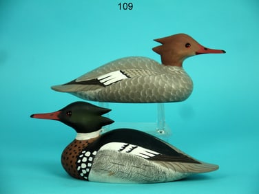 MINIATURE RED-BREASTED MERGANSERS, W. CRANMER