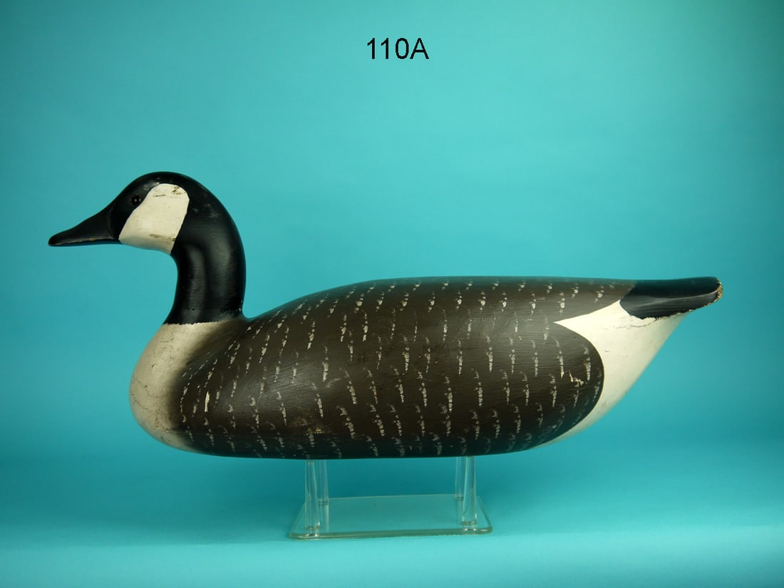 CANADA GOOSE, W. CRANMER (1 of 4)