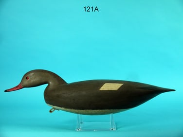 RED-BREASTED MERGANSER HEN, H. CONKLIN