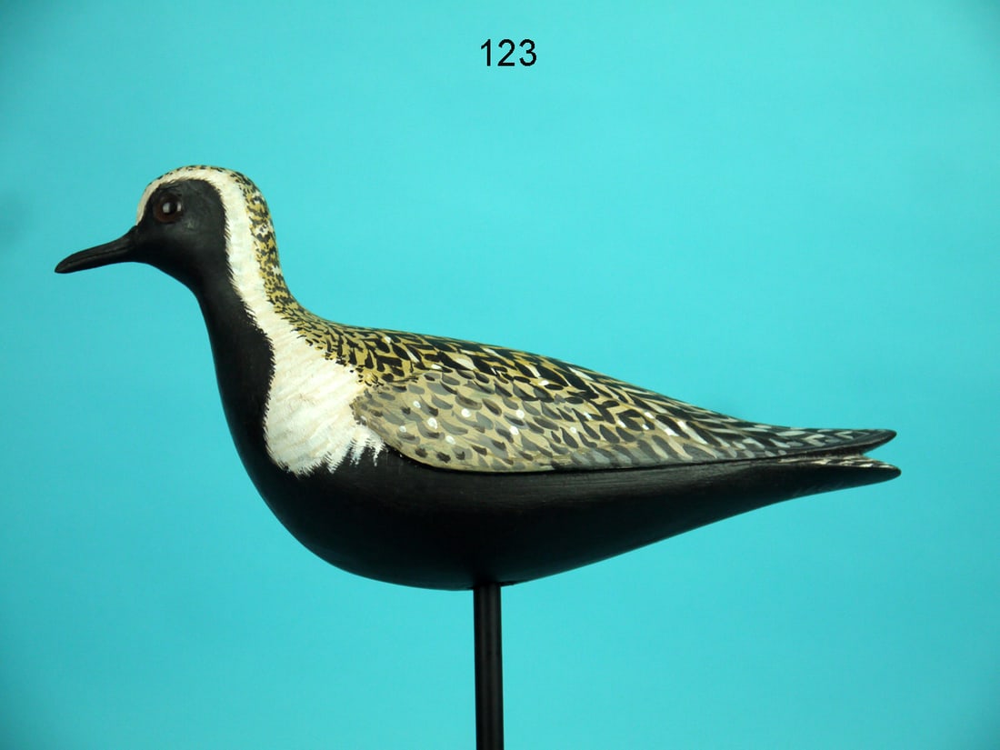 GOLDEN PLOVER, D. RHODES (1 of 4)