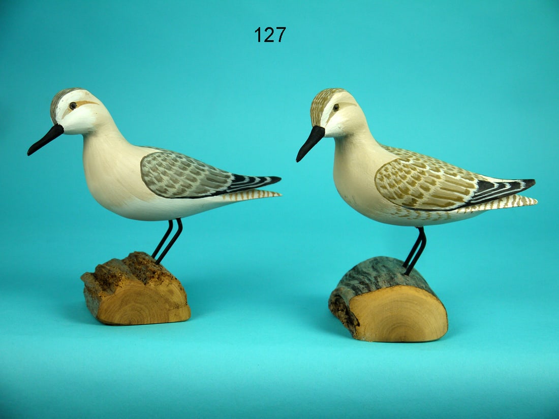 TWO SANDPIPERS, H.V. SHOURDS (1 of 4)