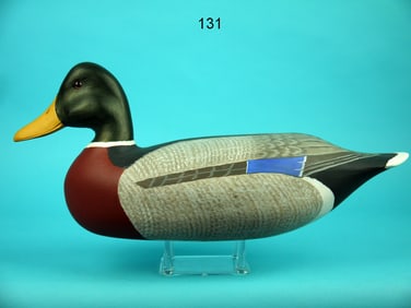 MALLARD DRAKE, H.V. SHOURDS