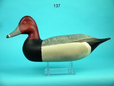 REDHEAD DRAKE, H.V. SHOURDS