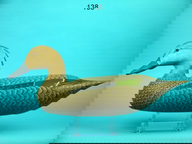 WIGEON HEN, H.V. SHOURDS