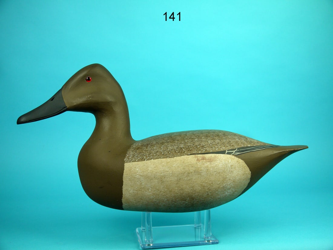CANVASBACK HEN, H.V. SHOURDS (1 of 4)
