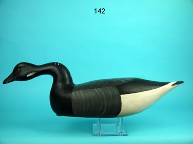 SWIMMING BRANT, H.V. SHOURDS