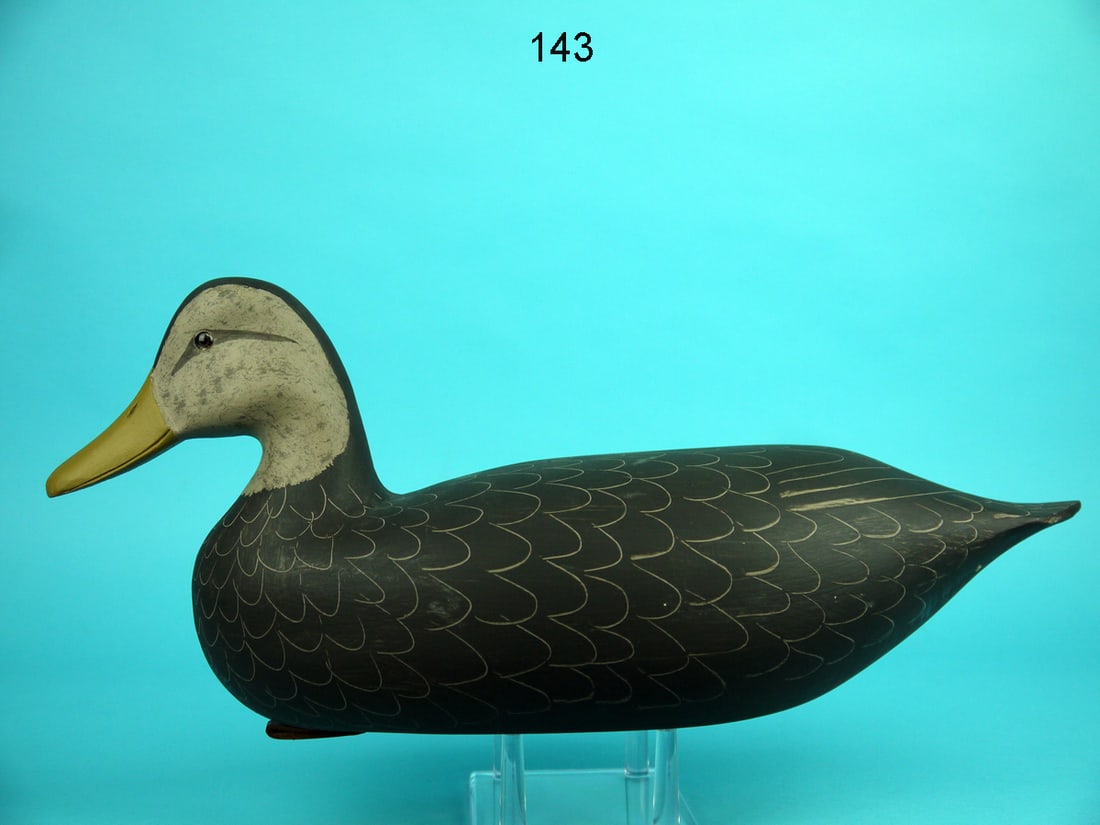 BLACK DUCK, H.V. SHOURDS (1 of 4)