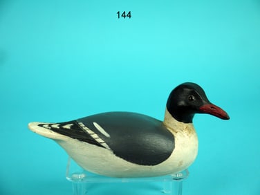 MINIATURE LAUGHING GULL, J. WEST