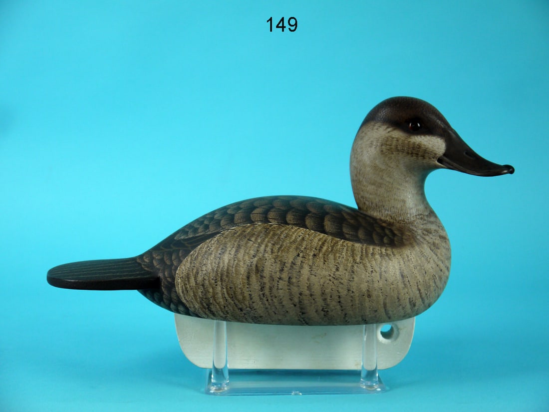RUDDY DUCK HEN, C.R. MARTER, JR. (1 of 4)