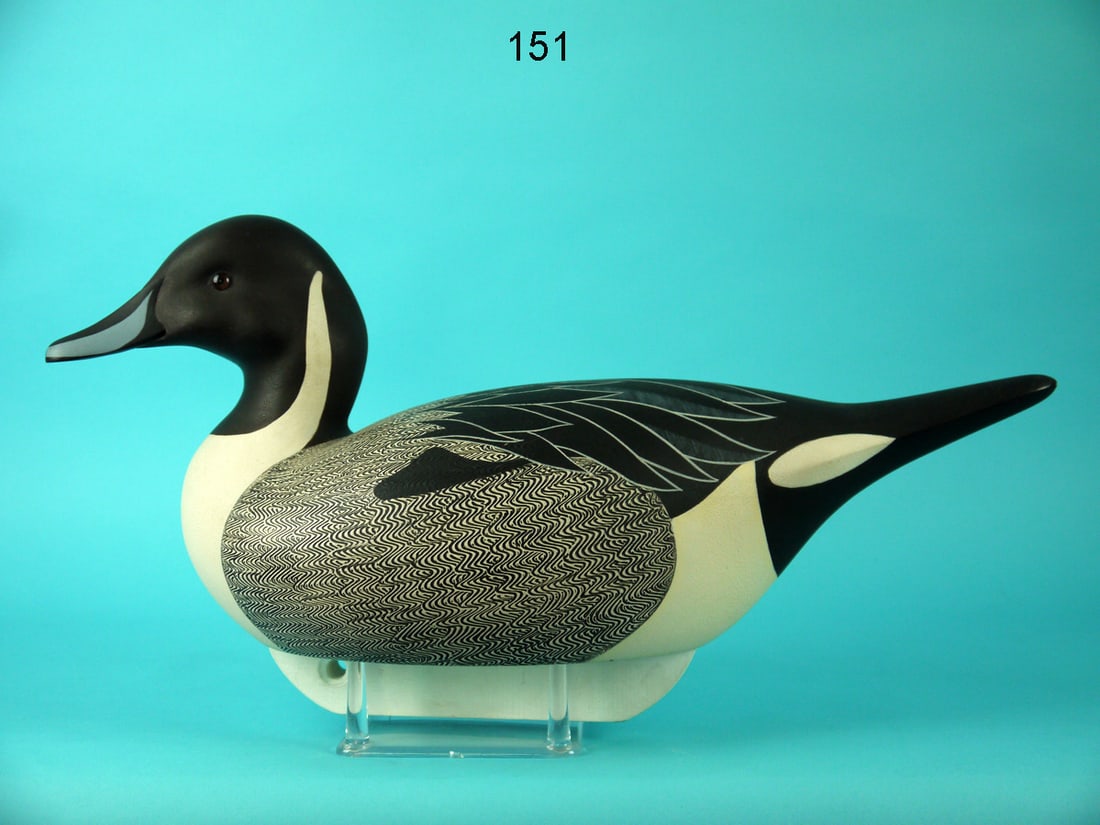 PINTAIL DRAKE, C.R. MARTER, JR.: VERY FINE PINTAIL DRAKE by Caleb R. Marter, Jr., Burlington, NJ. Excellent original paint and structural condition. Hollow construction. Detailed comb-feather paint to back and sides. Painted feather 