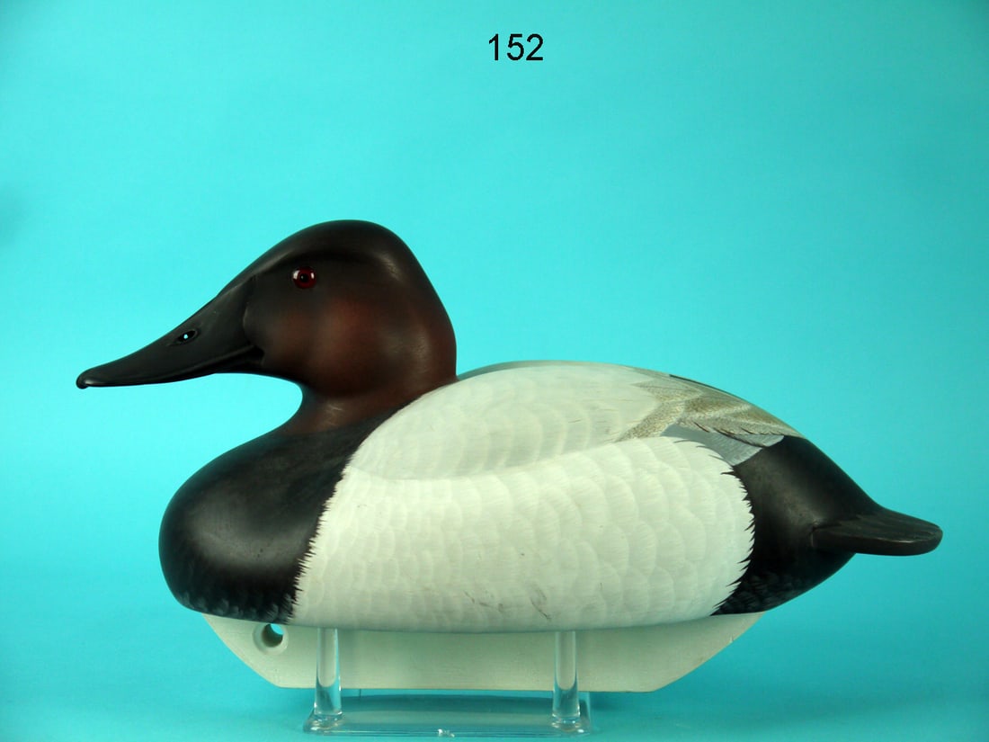 CANVASBACK DRAKE, C.R.  MARTER, JR. (1 of 4)