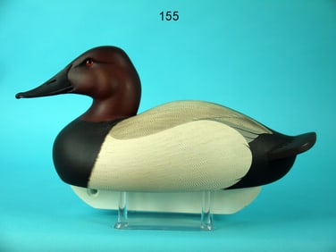 CANVASBACK DRAKE, C.R. MARTER