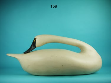 SLEEPING SWAN, UPPER BAY