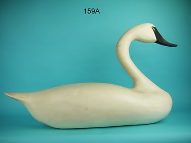 TUNDRA SWAN, UPPER BAY