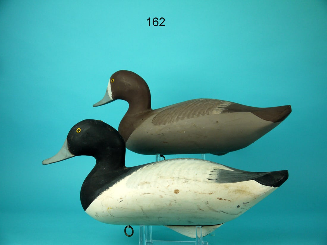 BLUEBILL PAIR, MARYLAND (1 of 4)