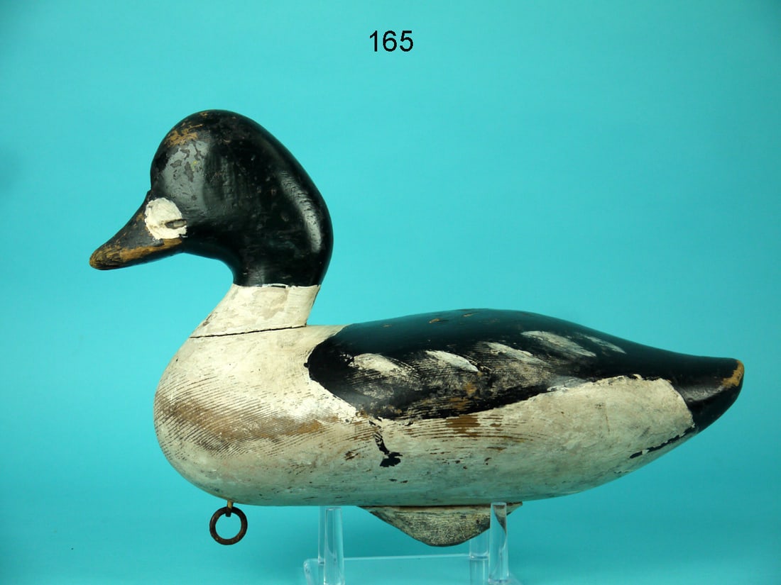 GOLDENEYE DRAKE, MARYLAND: GOLDENEYE DRAKE, Maryland. Working paint and good structural condition with in-use wear. Some puppy chew to bill tip and small patch of loss to underside. Retains keel weight and rigging ring. Overall
