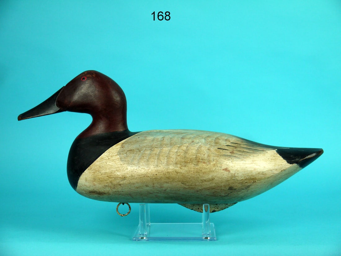 CANVASBACK DRAKE, H. JOBES (1 of 4)