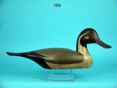 PINTAIL DRAKE, G. LOWENTHAL