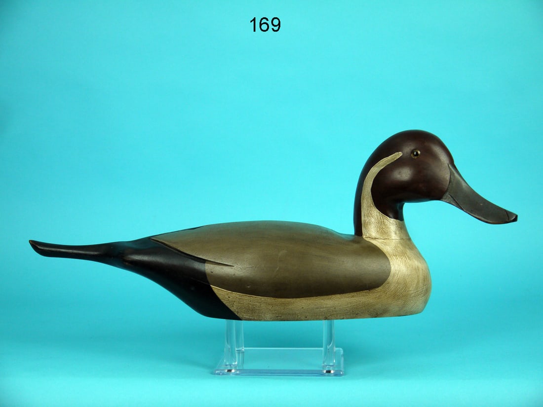 PINTAIL DRAKE, G. LOWENTHAL (1 of 4)