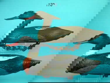 RED-BREASTED MERGANSER PAIR, A. MEEKINS