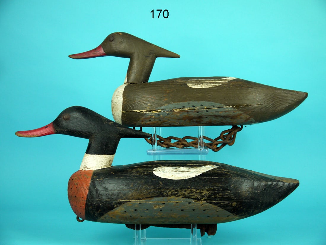 RED-BREASTED MERGANSER PAIR, A. MEEKINS (1 of 4)
