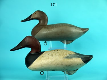 CANVASBACK PAIR, R.M. MITCHELL