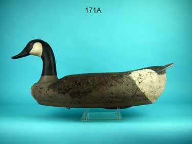 CANADA GOOSE, R.M. MITCHELL