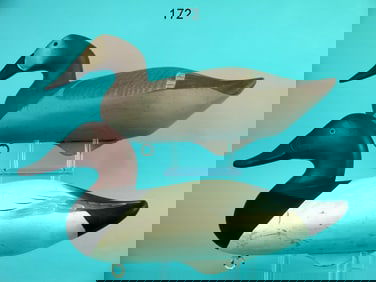 CANVASBACK PAIR, R.M. MITCHELL