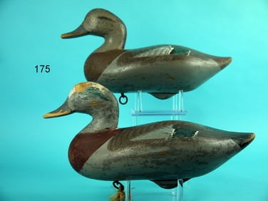 WIGEON PAIR, R.M. MITCHELL