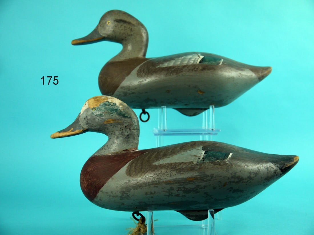 WIGEON PAIR, R.M. MITCHELL (1 of 3)