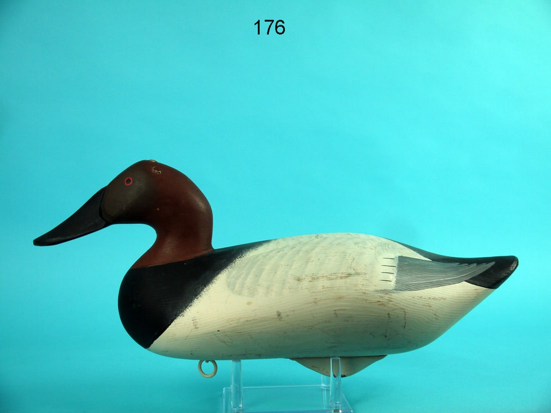 CANVASBACK DRAKE, R. M. MITCHELL (1 of 4)
