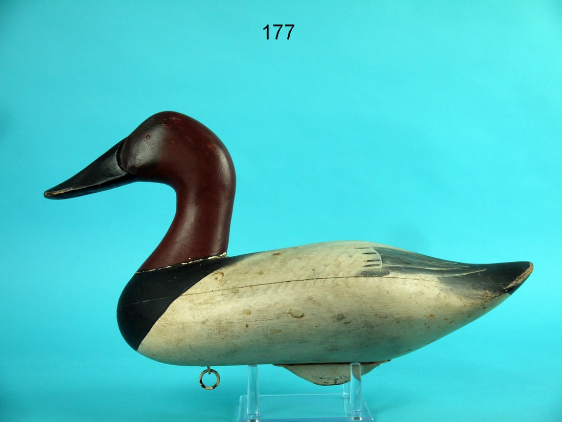 CANVASBACK DRAKE, MITCHELL SHOP (1 of 4)