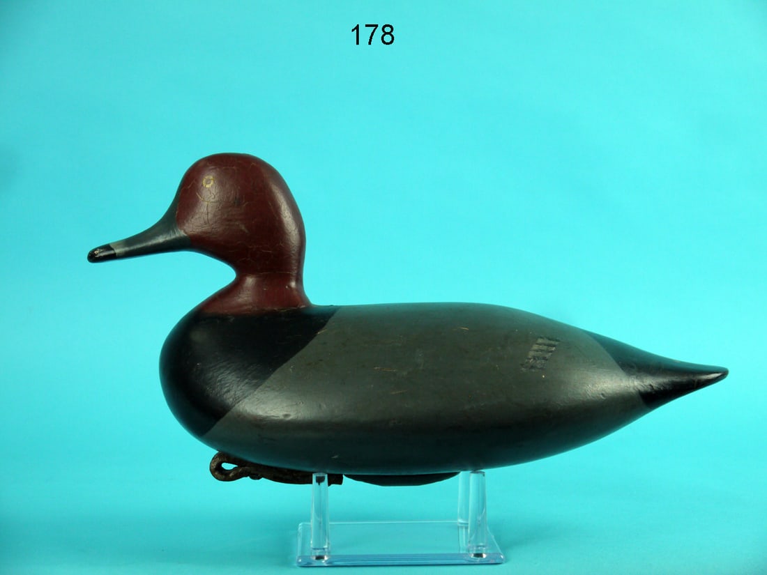 REDHEAD DRAKE, R. SELLERS (1 of 4)