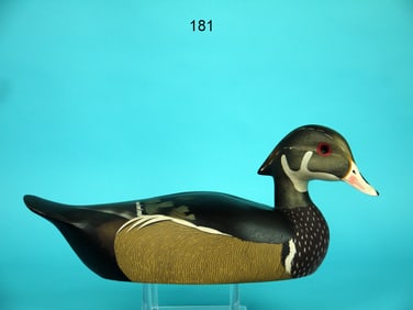 WOOD DUCK DRAKE, K. HARRIS