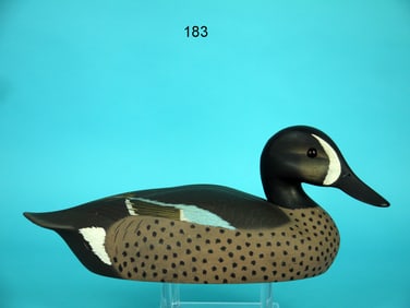 BLUE WING TEAL DRAKE, K. HARRIS