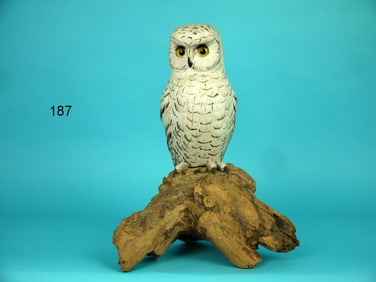 SNOWY OWL, M. HOLLAND
