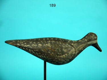 EARLY SHOREBIRD, PRINCE EDWARD ISLAND