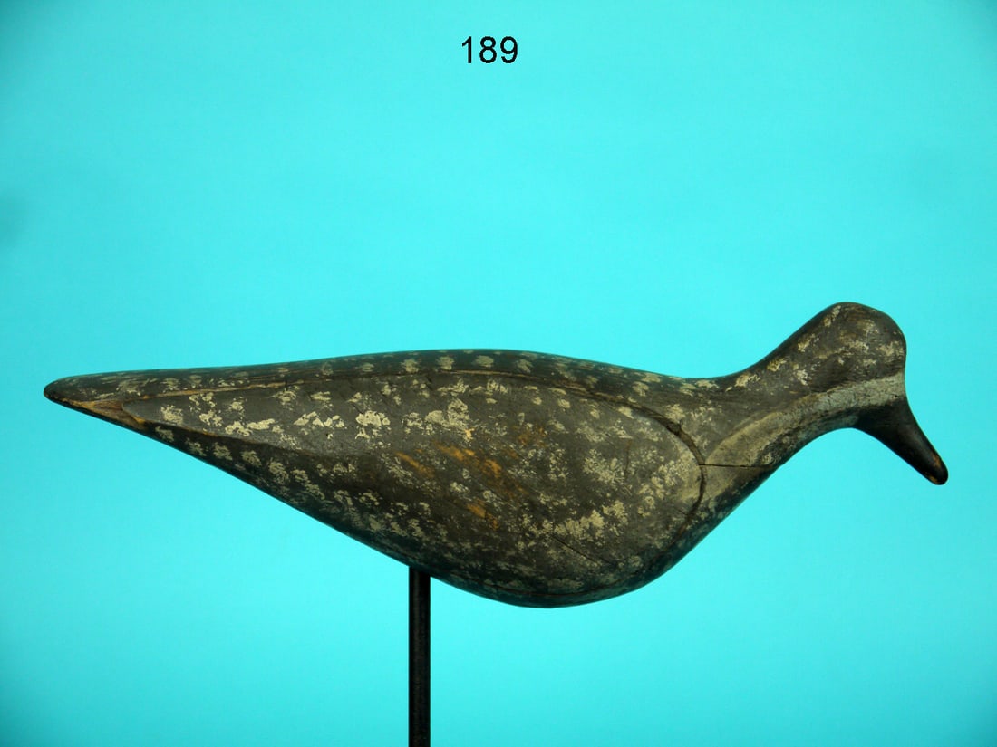 EARLY SHOREBIRD, PRINCE EDWARD ISLAND (1 of 4)