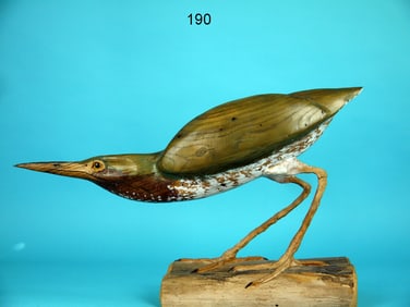 ,GREEN HERON, W. LICHTENSTEIGER