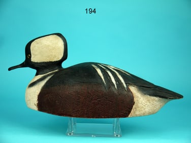 HOODED MERGANSER DRAKE, MICHIGAN