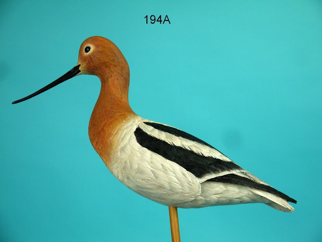 AVOCET, R. TEPLEY: VERY FINE AVOCET by Ron Tepley, Racine, WI. Very good original paint and structural condition. Tip of bill professionally reset. Intricate carved feather work overall. Relief-carved wings with raised 