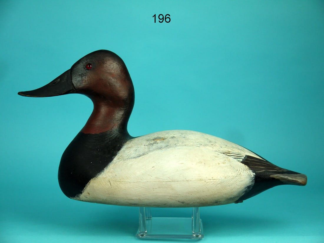 CANVASBACK DRAKE, T. WARD (1 of 4)