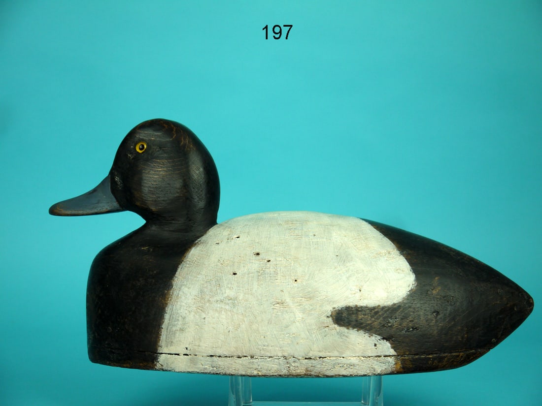 BLUEBILL DRAKE, CANADA: BLUEBILL DRAKE, unknown carver, probably Canada. Working paint and very good structural condition. Hollow bottom board construction. Retains glass eyes, rigging u-nail and carved nostril detail. Overa